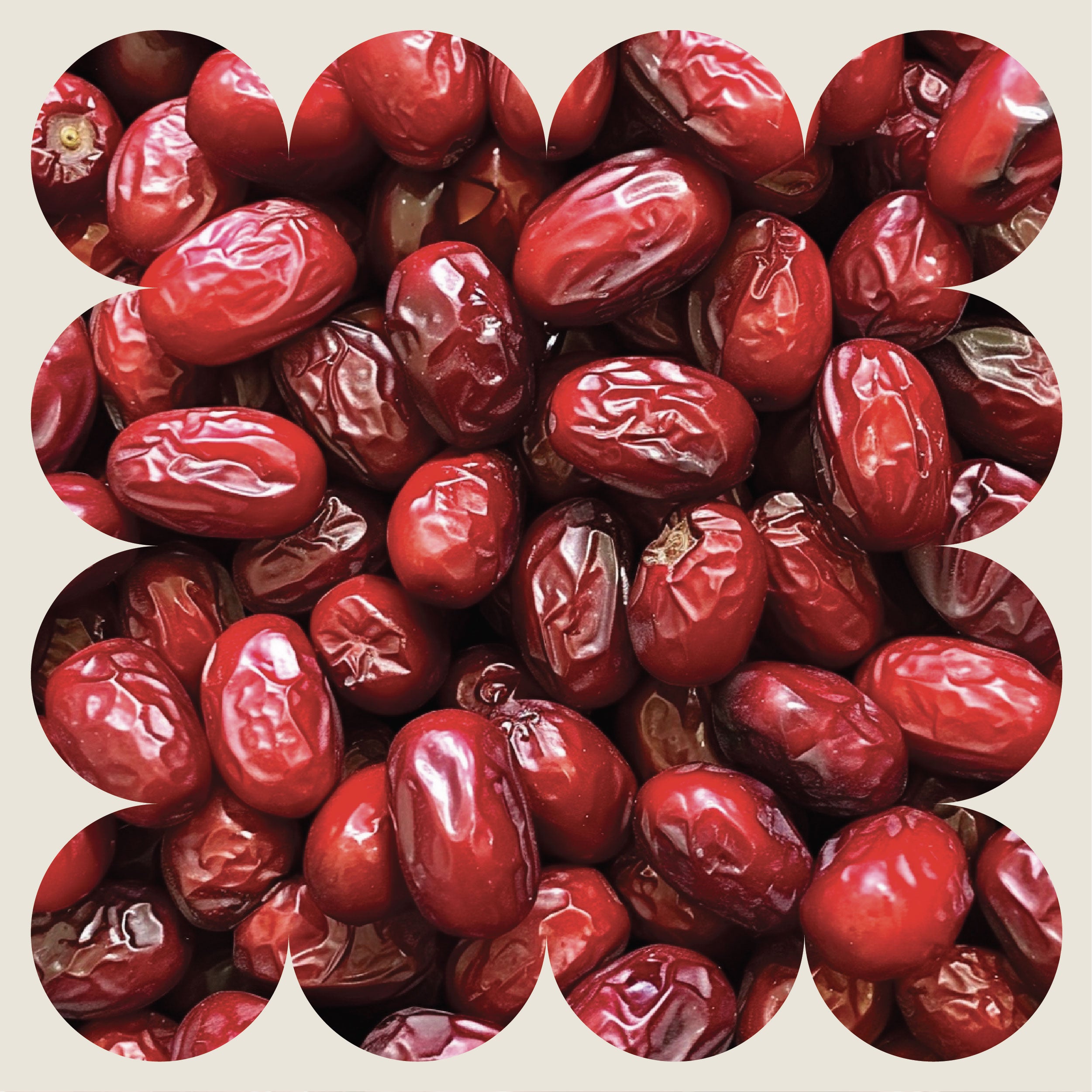 Close-up of a pile of red, wrinkled jujube fruits, also known as red dates, with irregular circular cutouts framing the edges of the image.