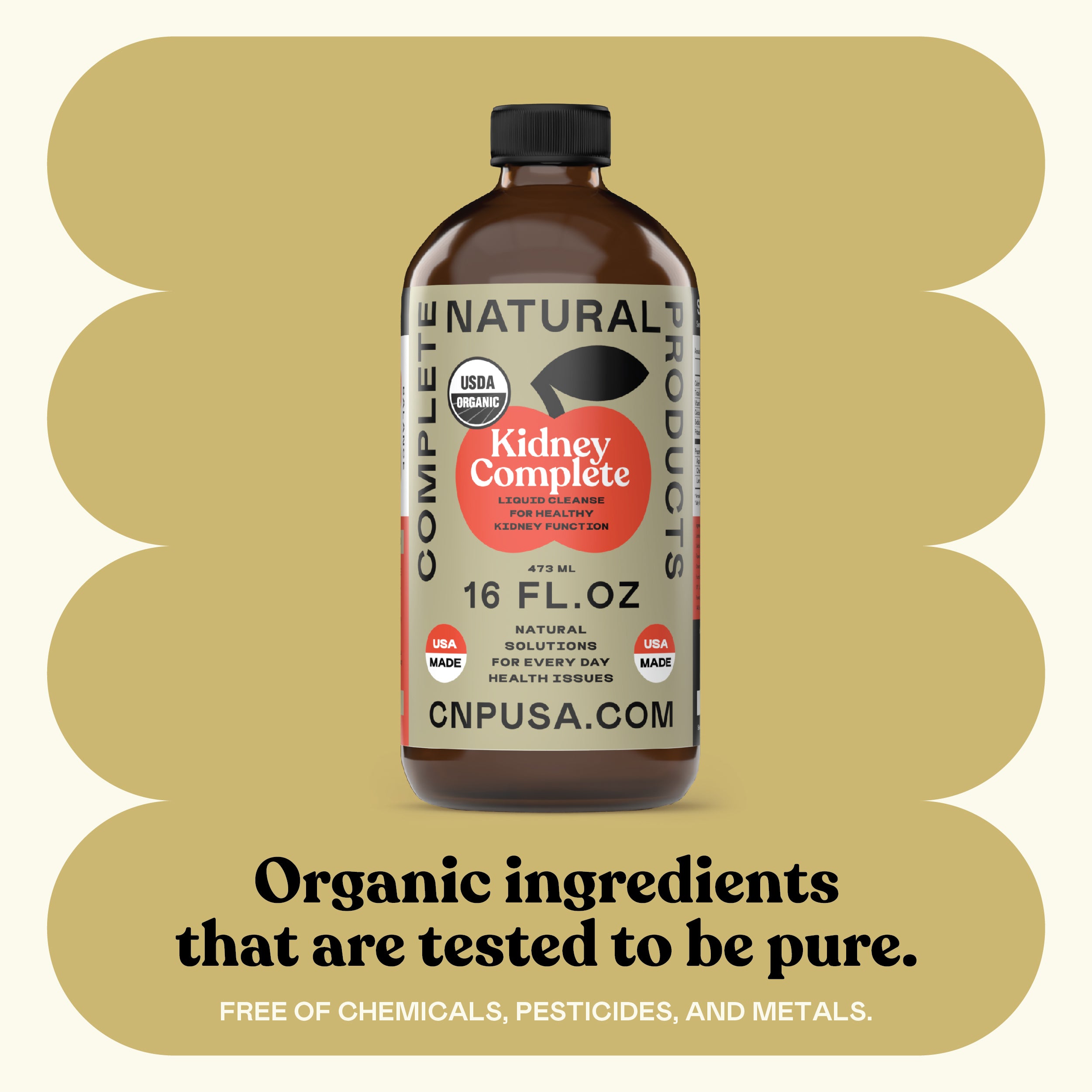 A 16oz glass bottle of CNPUSA Kidney Complete, featuring a USDA Organic seal, sits on a beige background. Text below reads: Supports kidney health with pure organic Chanca Piedra and Apple Cider Vinegar, free of contaminants.