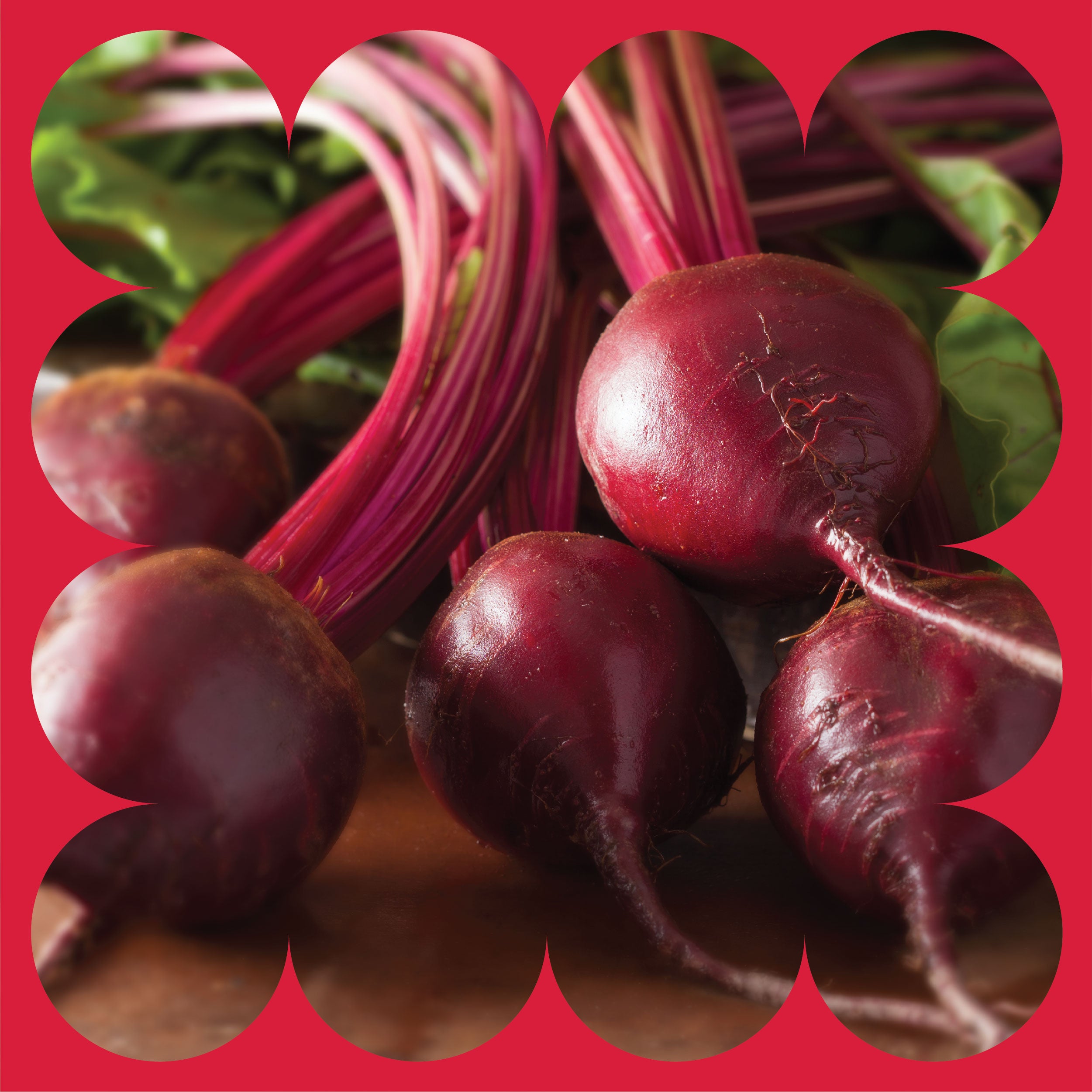 Several fresh beets with green leafy tops and long red stems are arranged closely together on a brown surface, framed by a red scalloped border.