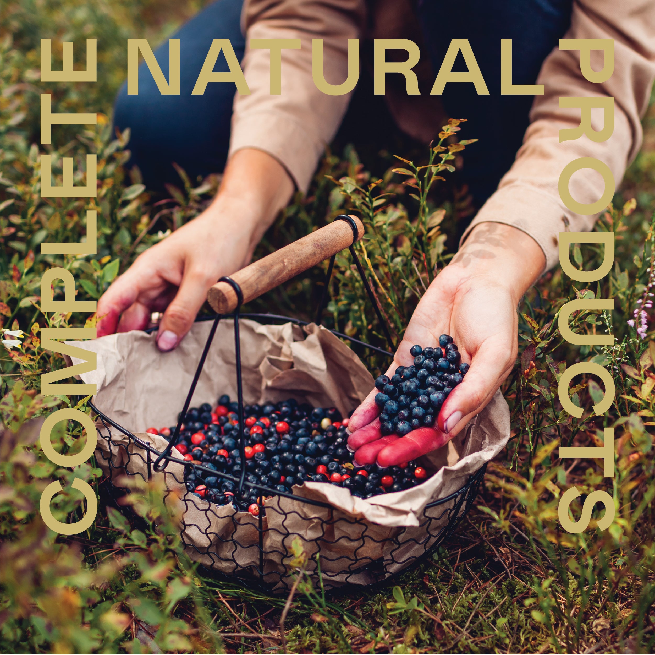 A person collects wild berries in a paper-lined wire basket, representing natural health. The words Urinary Tract Complete - 16oz Glass Bottle by CNPUSA are overlaid in bold gold letters around the image.