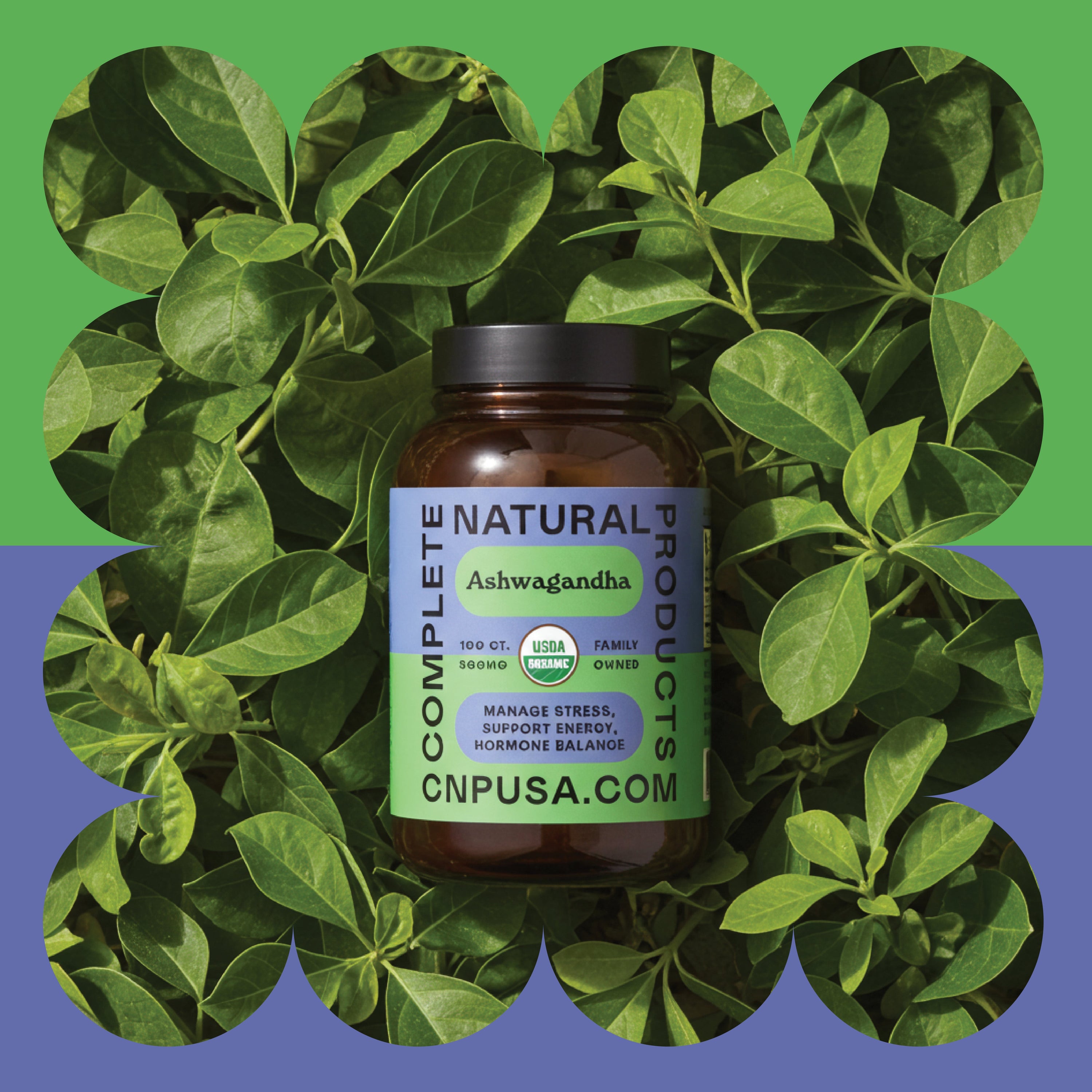 Ashwagandha: Understanding the Rationale for Supplementation