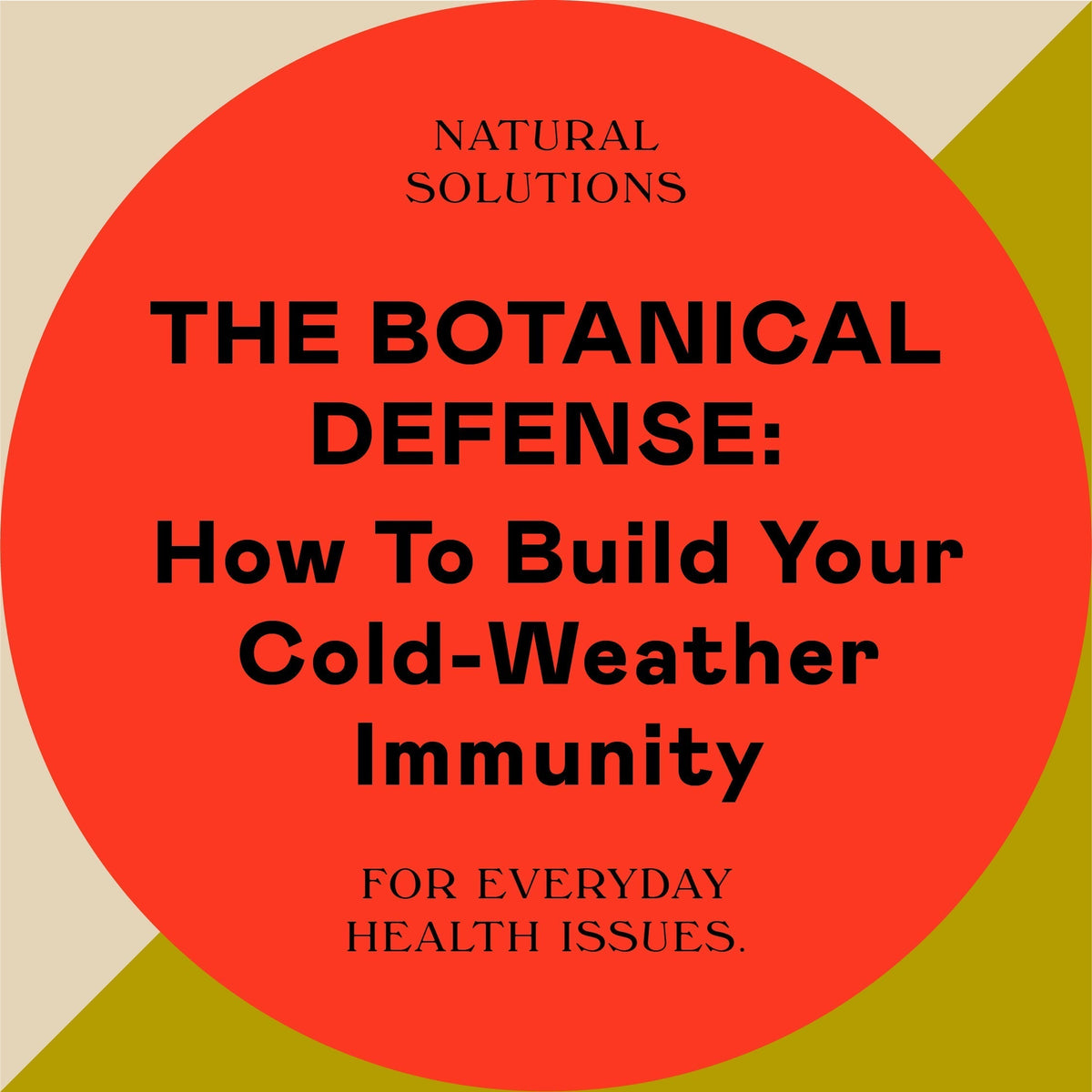 The Botanical Defense: How to Build Your Cold-Weather Immunity
