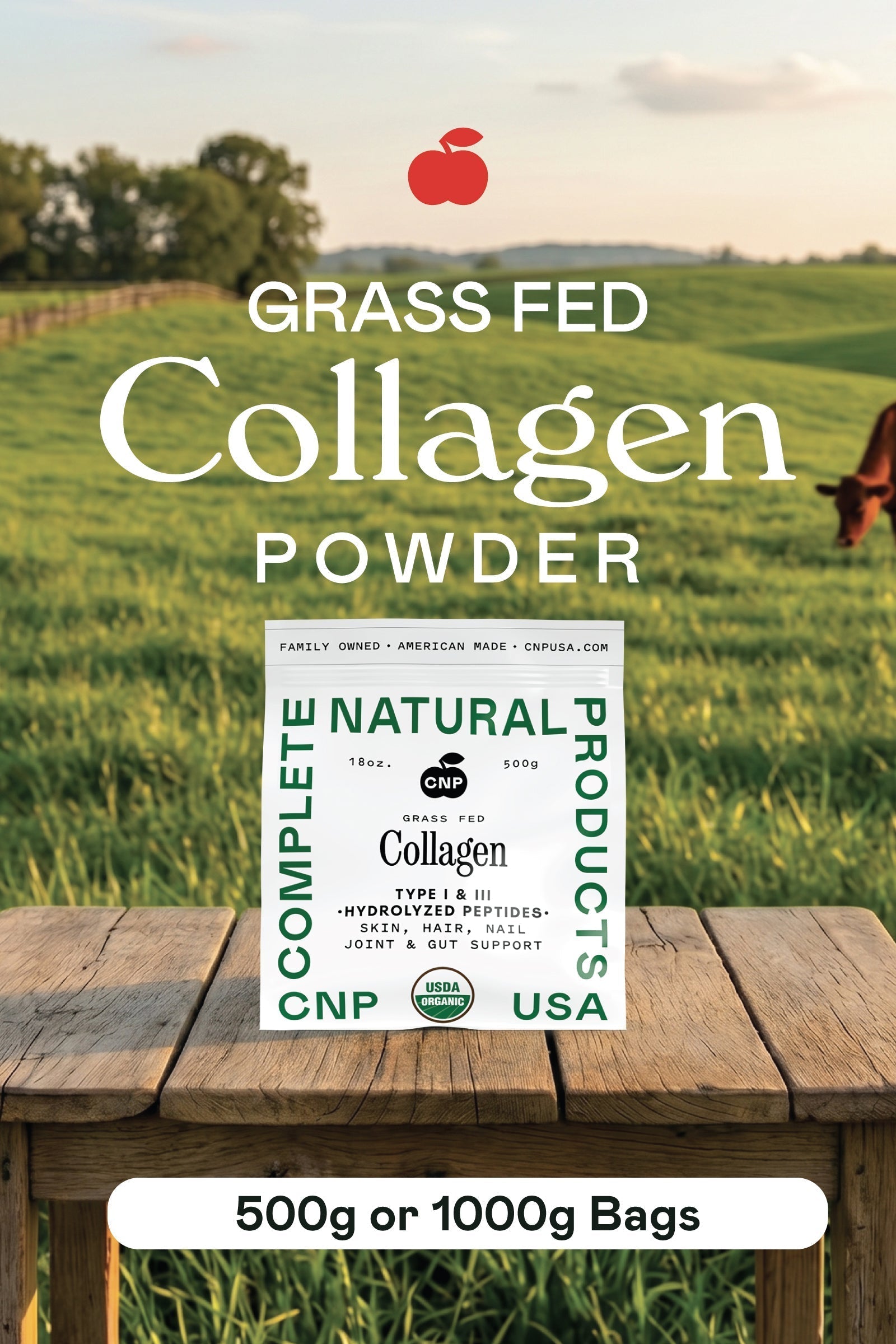 Collagen Timing: Optimizing Your Daily Wellness Ritual