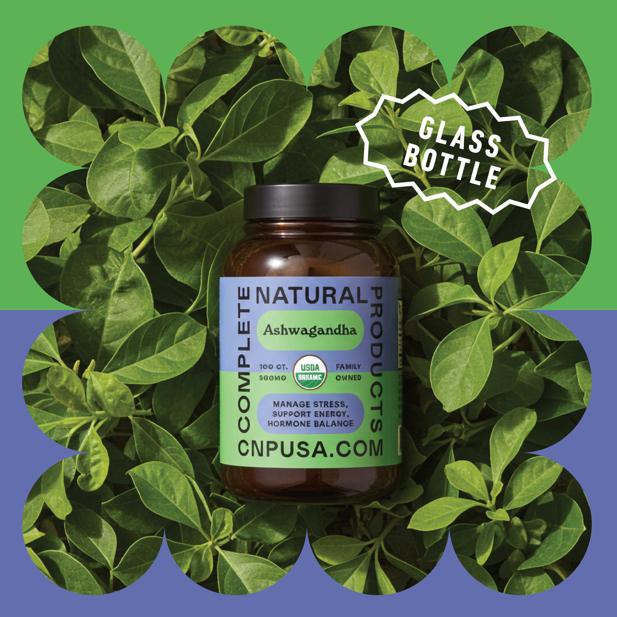 Gélules d'Ashwagandha bio