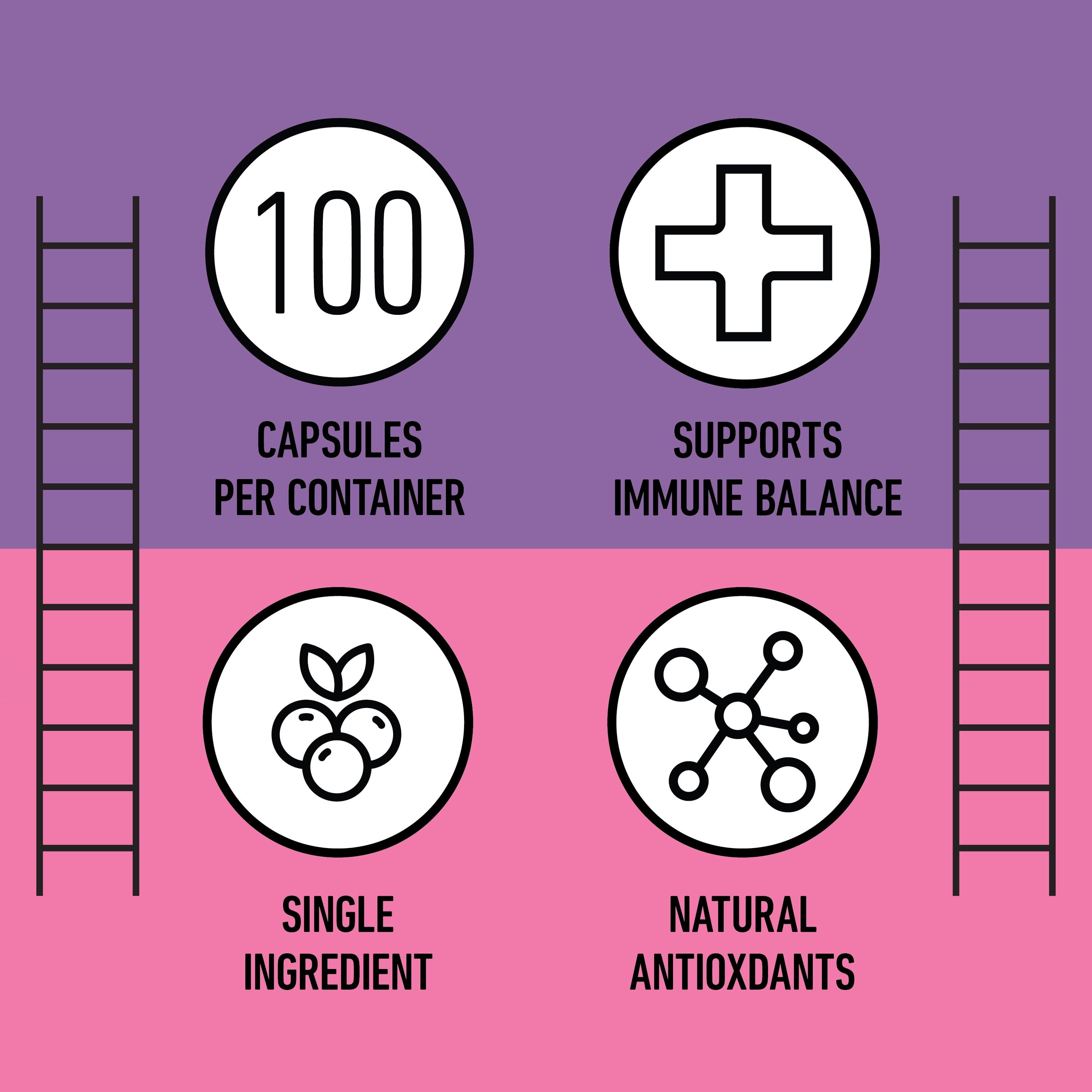 Capsules de sureau bio