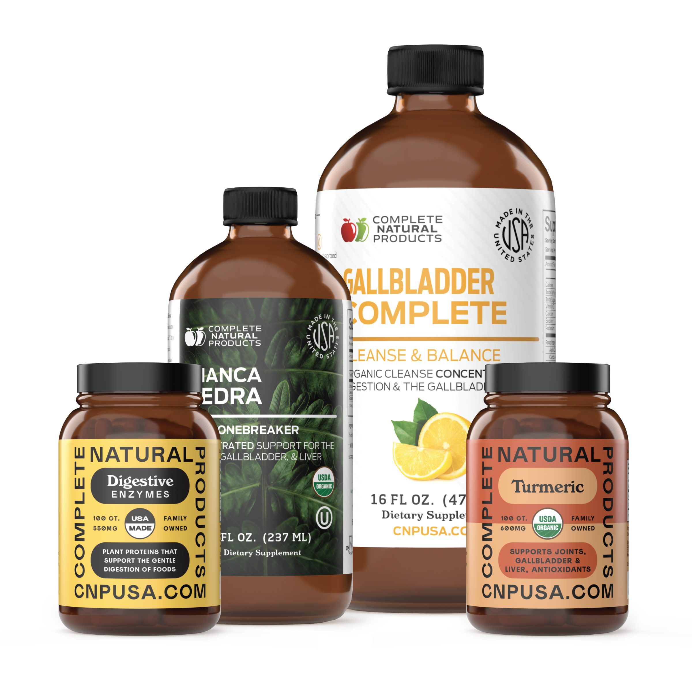 Ensemble complet de vésicule biliaire