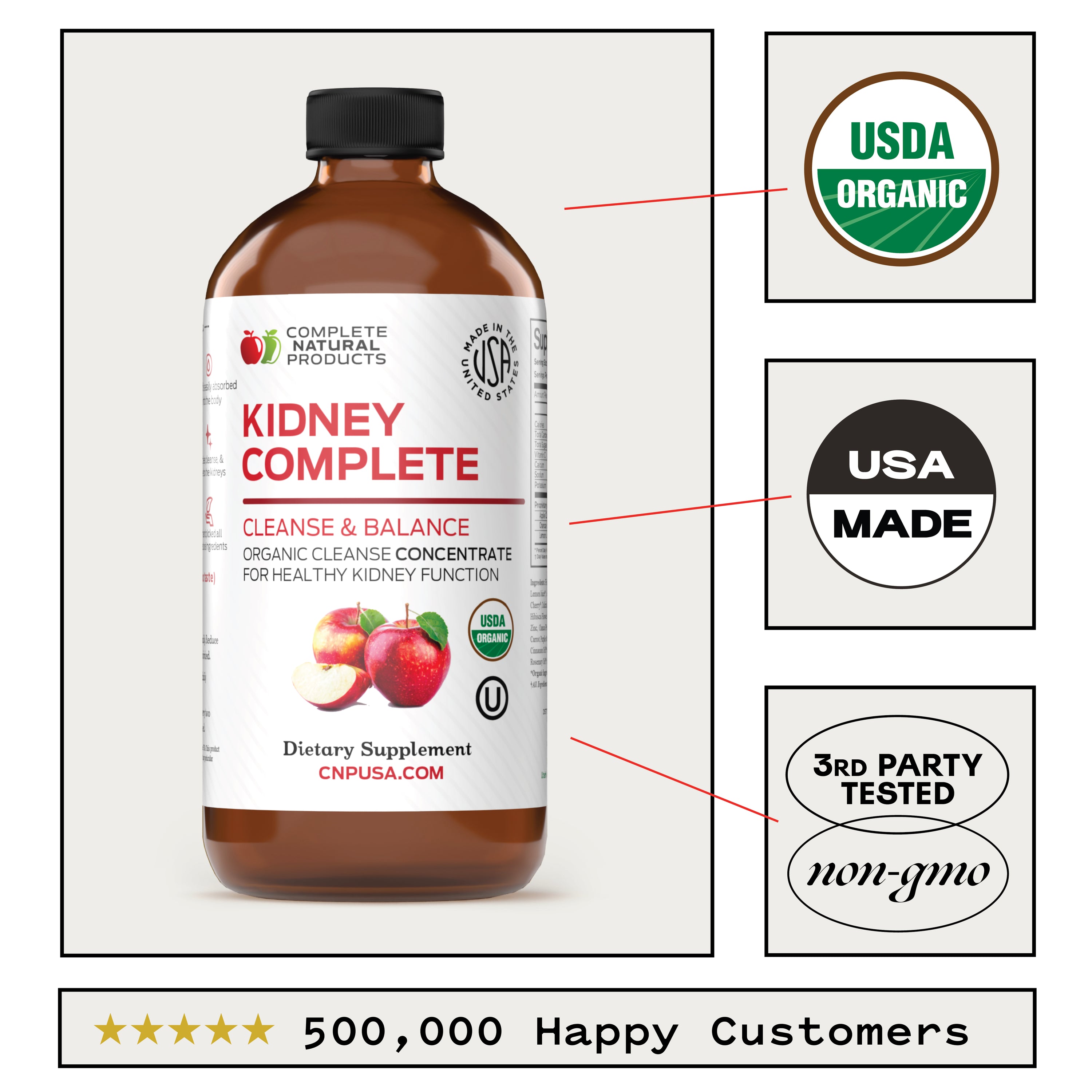 Kidney Complete