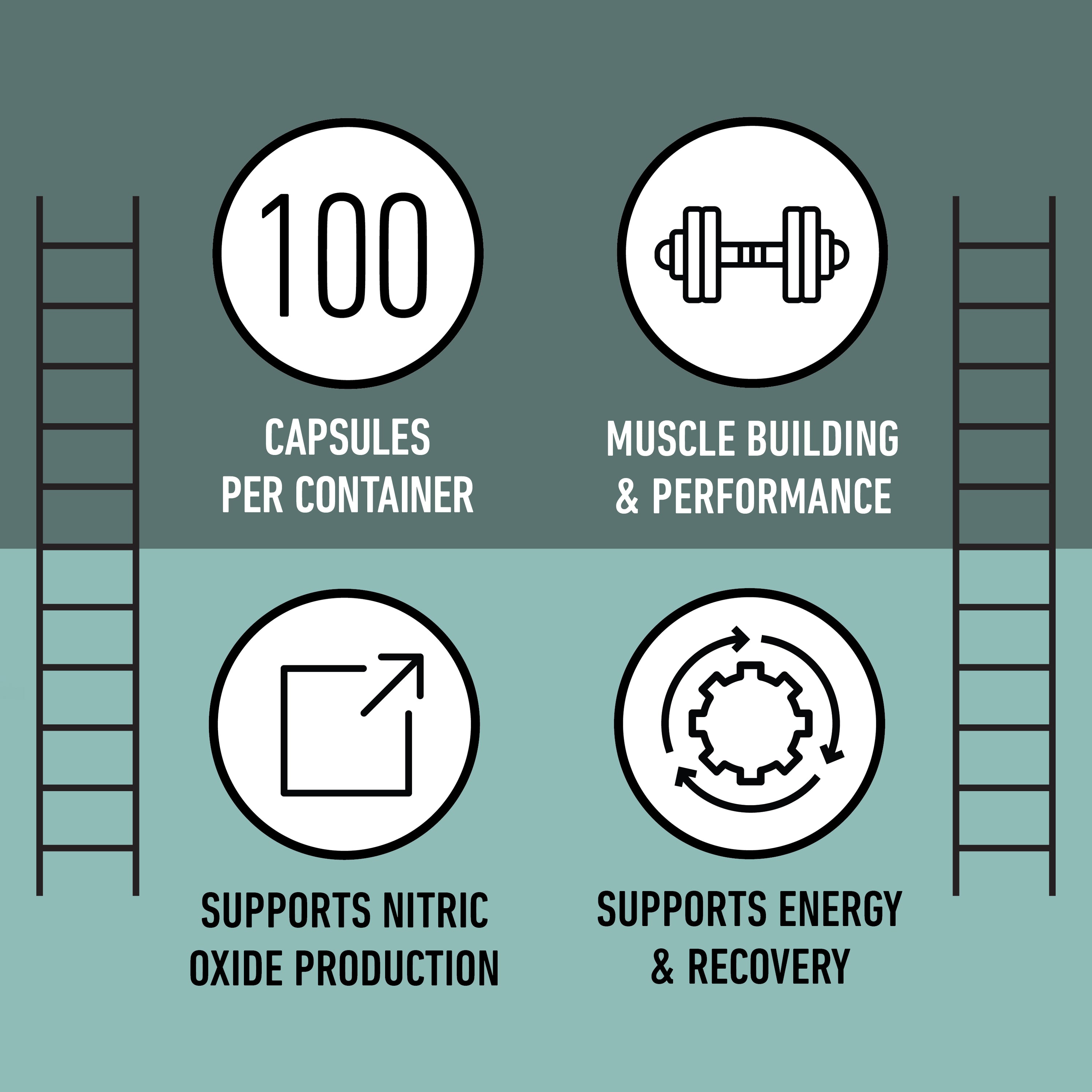 Poudre de L-Arginine