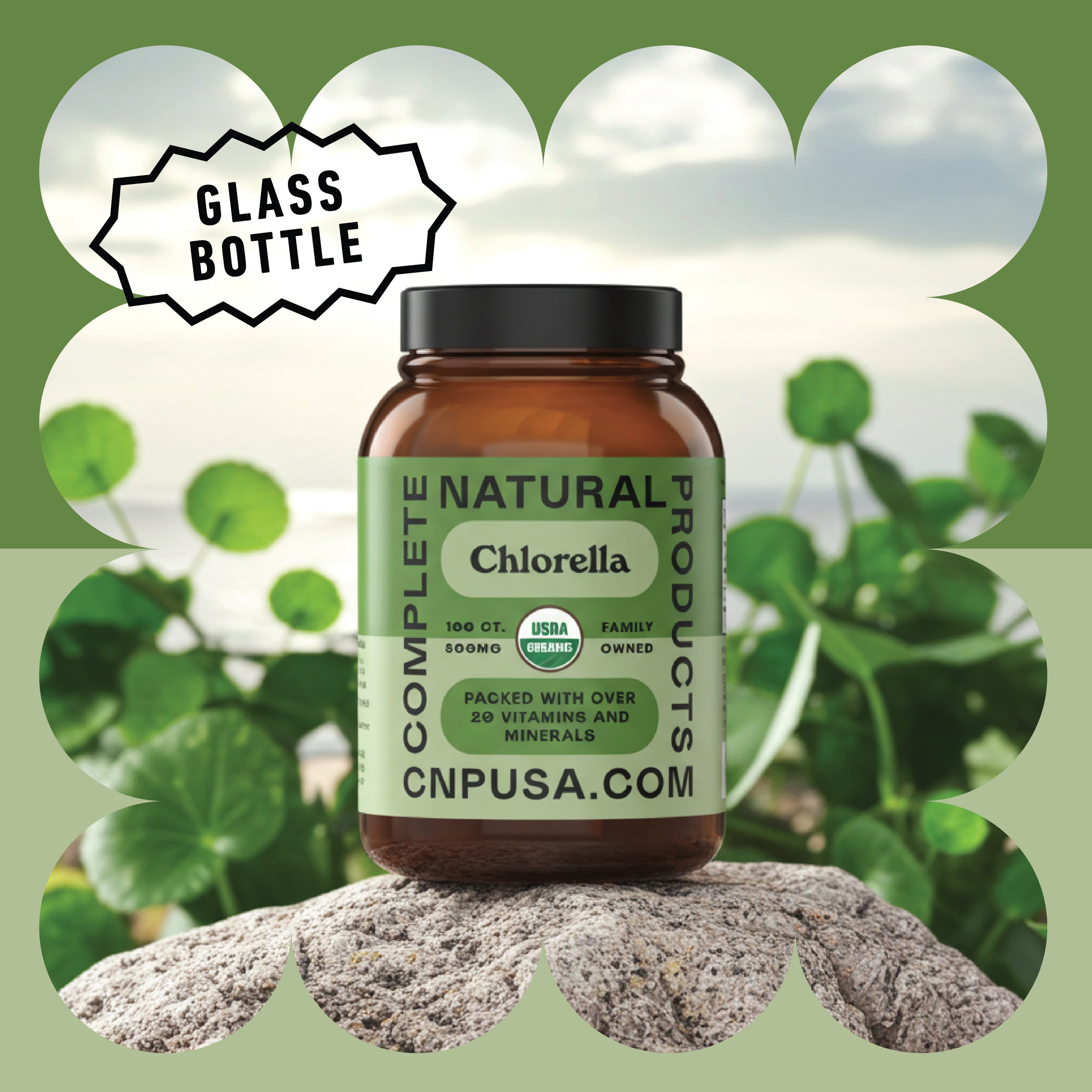 Gélules de Chlorelle Bio