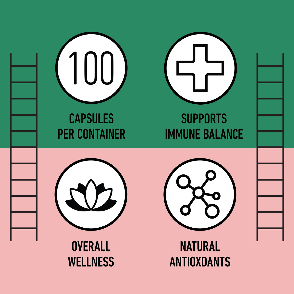 Organic Hibiscus Capsules