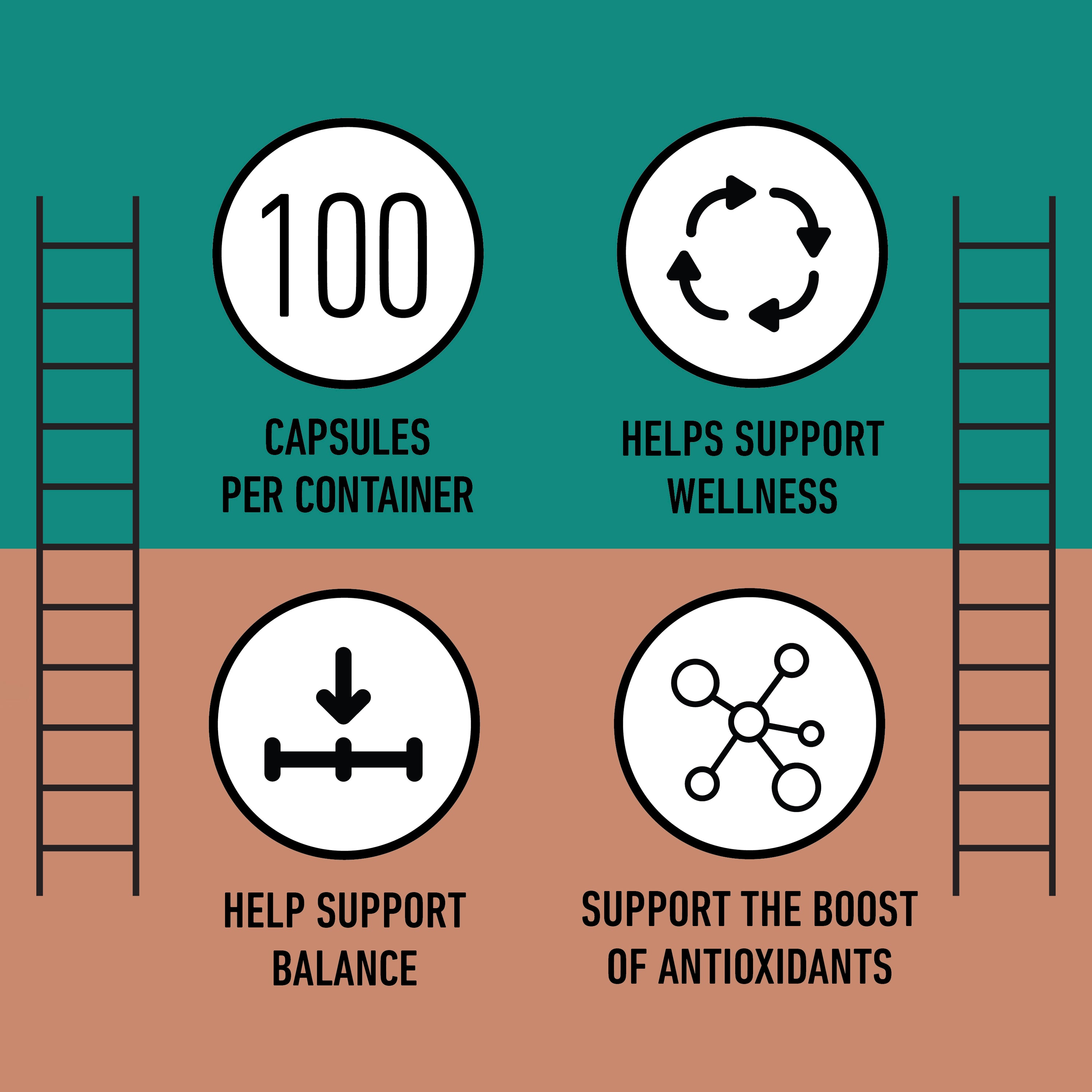 Organic Maitake Capsules