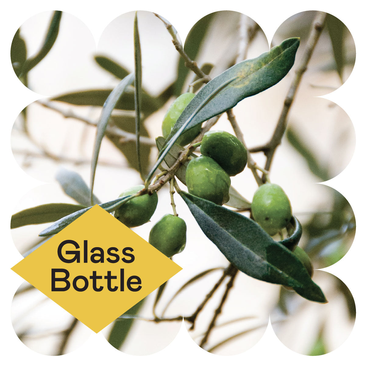 Close-up of green olives growing on a tree branch with leaves, surrounded by a decorative white border. A yellow diamond shape in the corner contains the words “Glass Bottle.”.