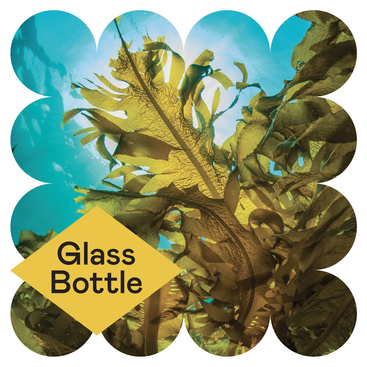 Large green seaweed floats underwater with sunlight filtering through. Overlaid is a yellow diamond shape containing the words Glass Bottle in bold black text. The image has a scalloped white border.