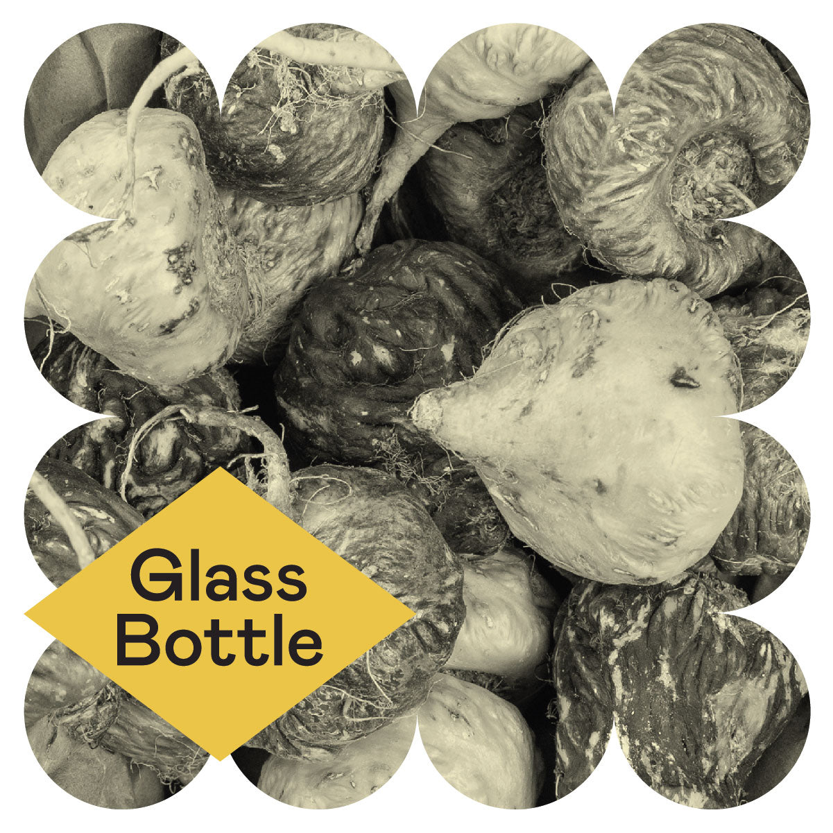 A cluster of root vegetables in black and white, framed by a rounded border and overlaid with a yellow diamond shape that reads Glass Bottle.