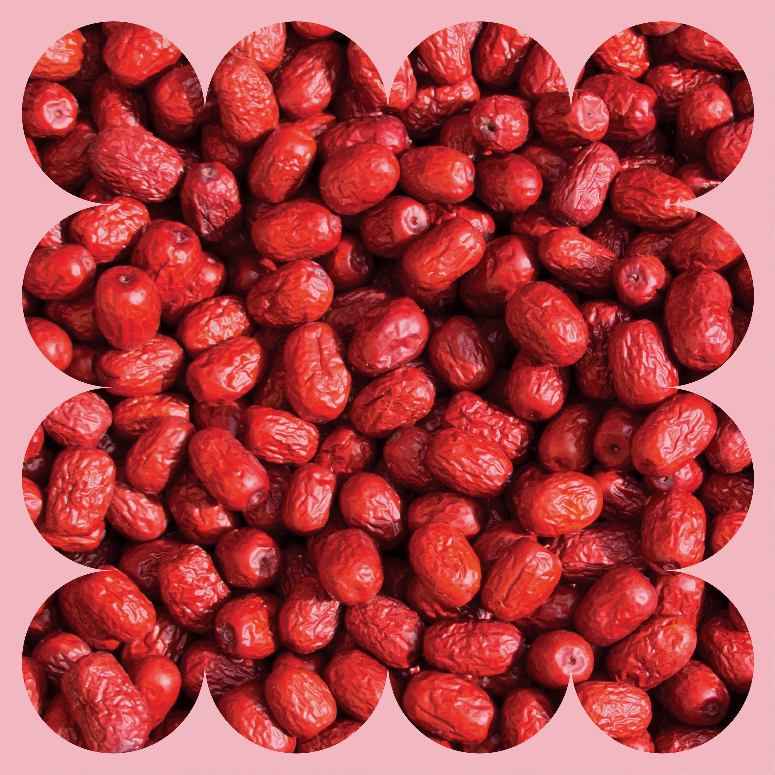 A close-up of numerous dried red dates (jujubes) with wrinkled skins, arranged tightly together. The image has a pink background and a scalloped border framing the fruit.