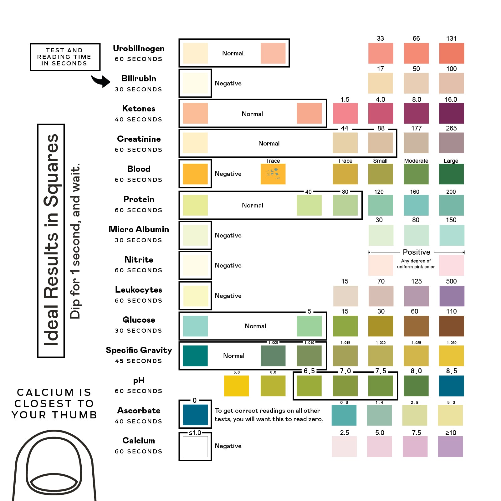 A chart explaining how to read urine test strip results, showing test names, timing, normal vs. abnormal ranges, and a color scale for each test. A thumb illustration indicates calcium is closest to the thumb.