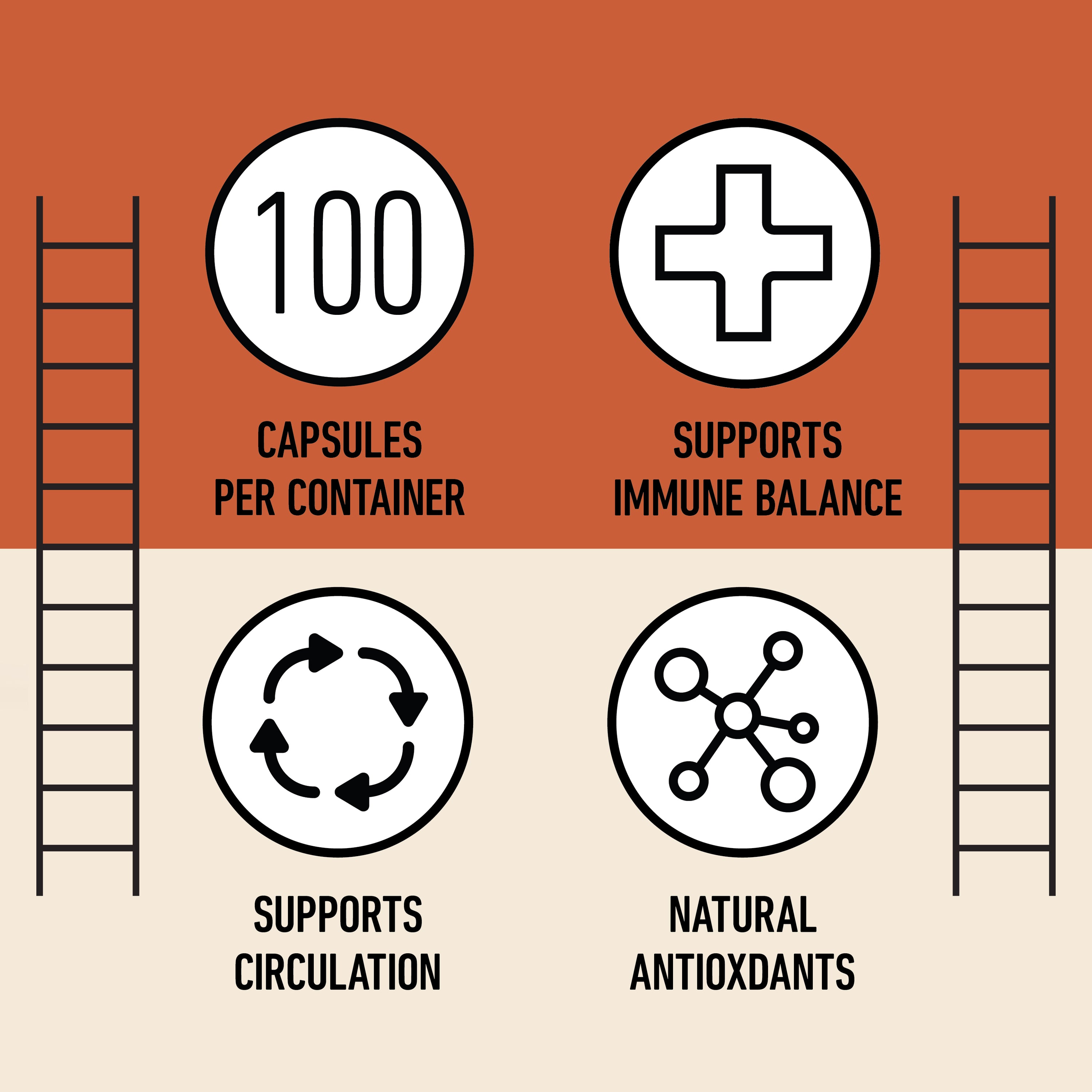 Gélules de curcuma bio