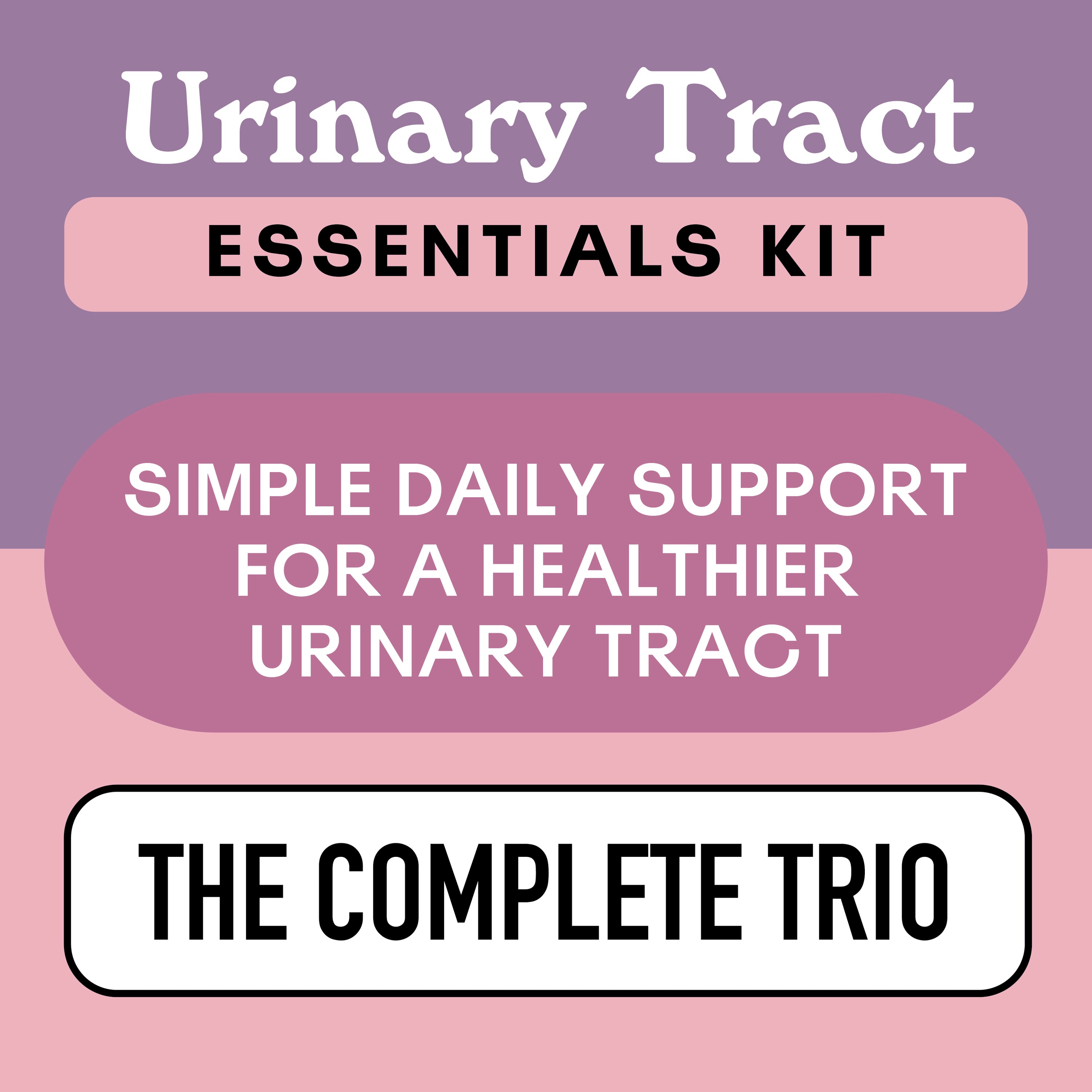 Ensemble complet des voies urinaires