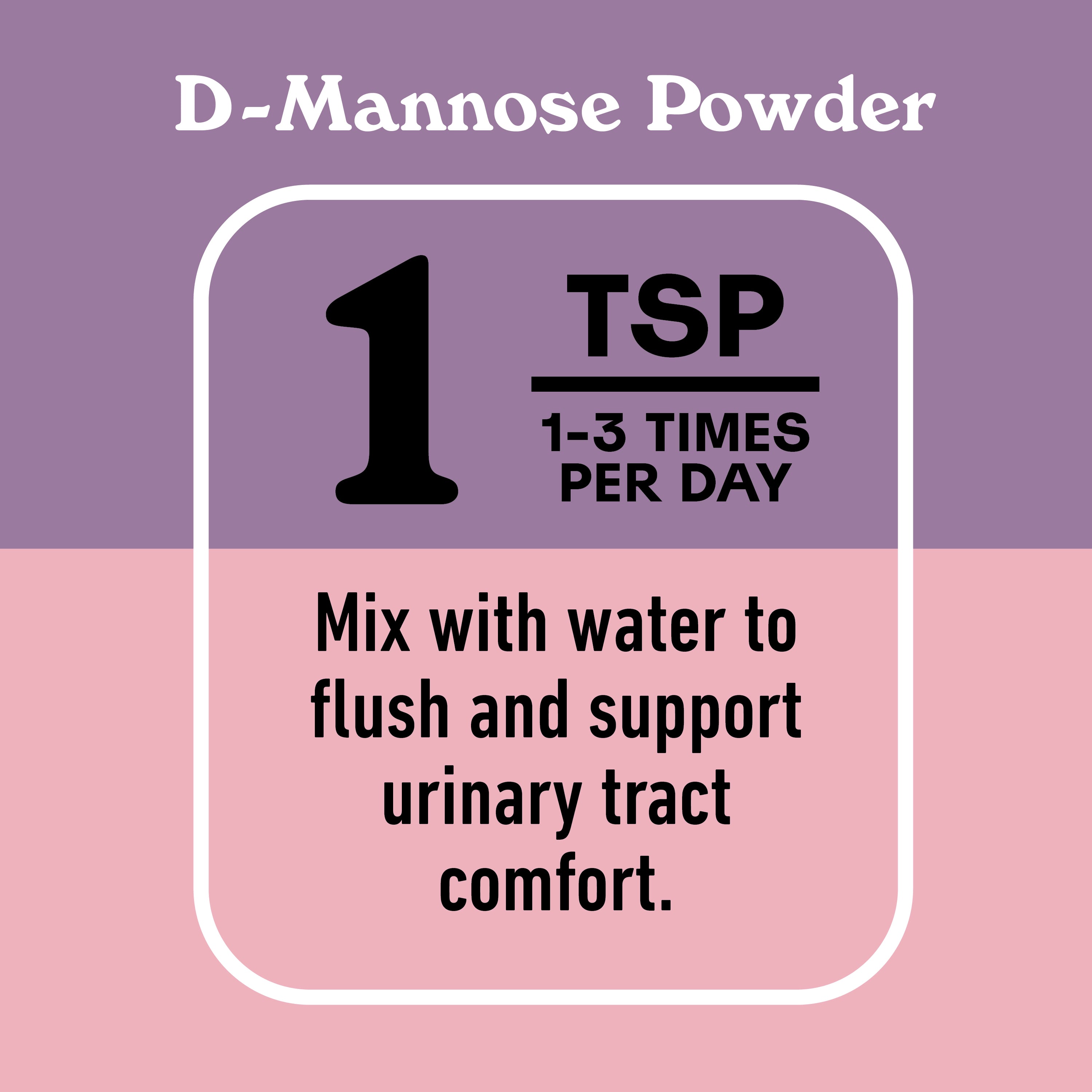 Ensemble complet des voies urinaires