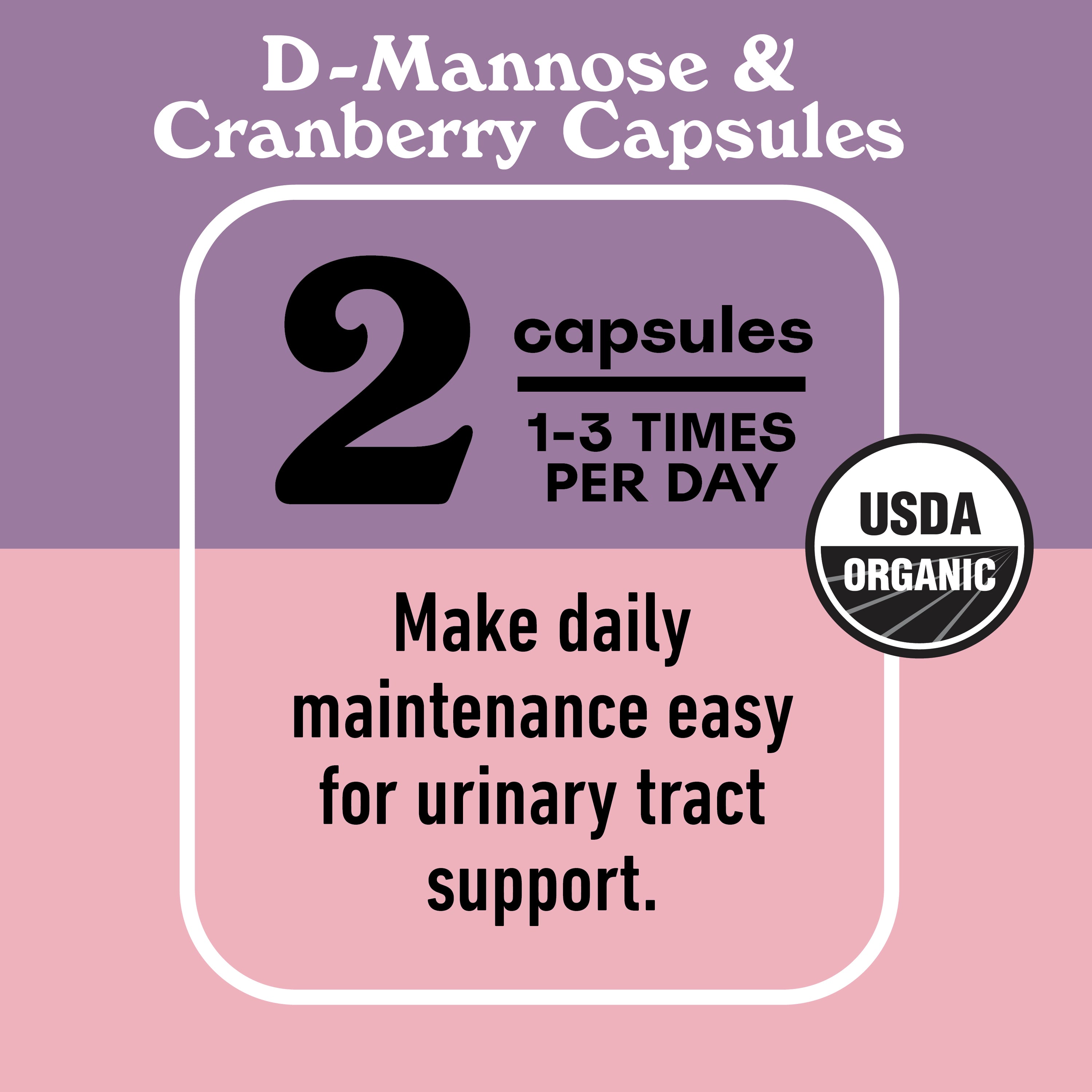 Ensemble complet des voies urinaires