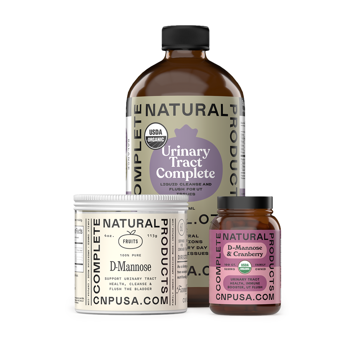 Ensemble complet des voies urinaires